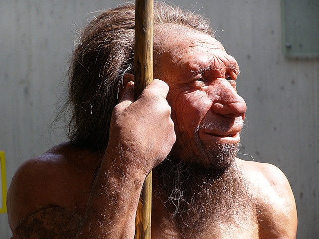 El frío pudo haber terminado con los Neandertales. (Flickr/Erich Ferdinand / Europa Press)