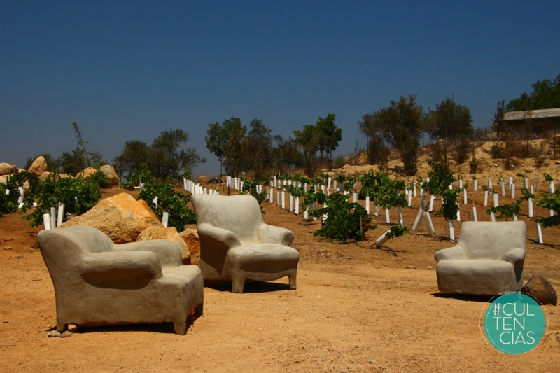 Uno de los paisajes en la Ruta del Vino en Ensenada. (Foto: Ángel Soto | MILENIO)