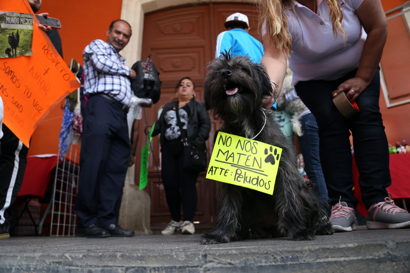 La invitación es en el recinto ferial de Pachuca a partir de las 11: 30 horas. (Jorge Sánchez)