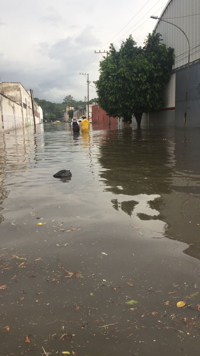 Las autoridades realizan trabajos de limpieza en las zonas afectadas. (Cortesía)