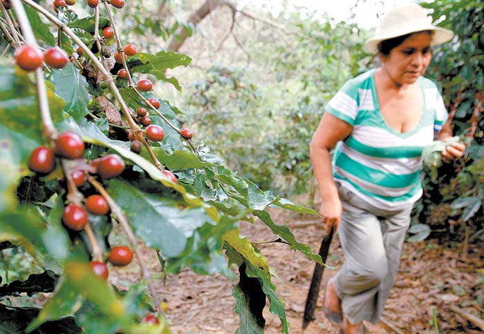 Con su programa ayudan al crecimiento de la producción primaria.