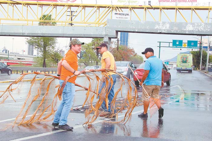 En Monterrey, algunos ayudaron quitando las ramas y basura.