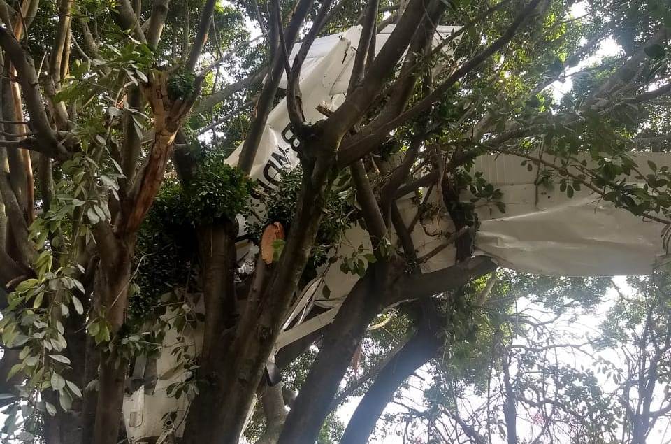 La avioneta cayó sobre un árbol dentro de un domicilio. (David Monroy)