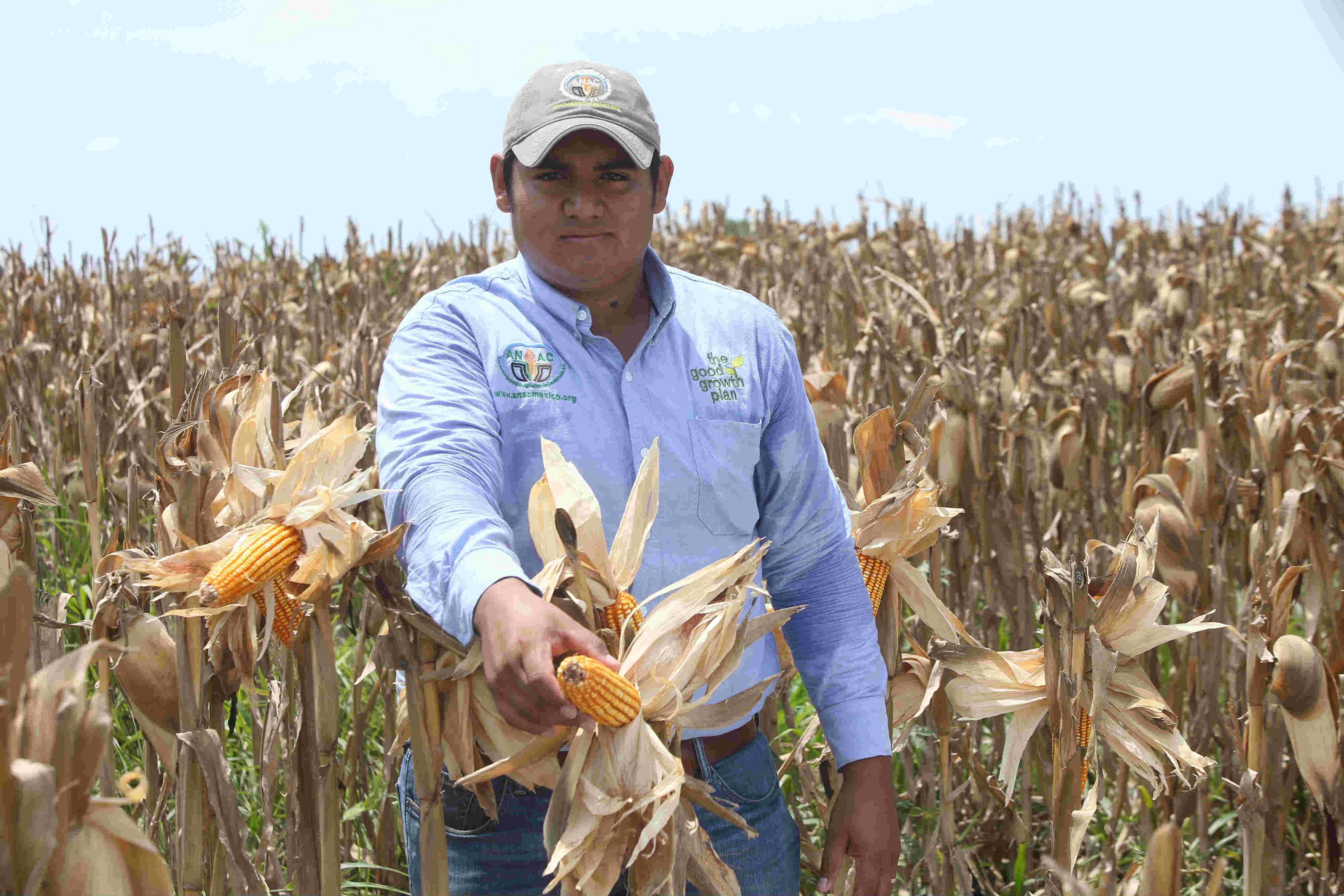 Sesma está convencido de que en la milpa y en los cañaverales está su vocación y quiere seguir sembrando por mucho tiempo. (Foto: Juan Carlos Bautista