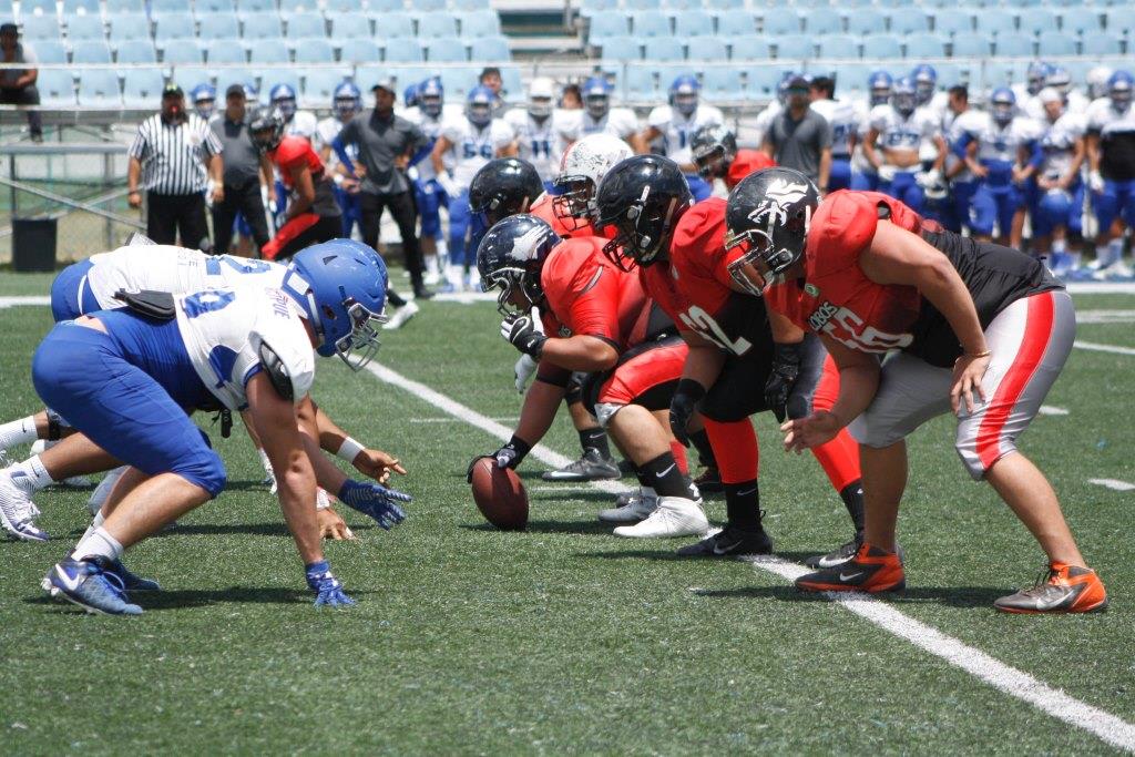 Lobos BUAP, categoría mayor, preparados para participar en la temporada 2018 de la ONEFA (Especial)