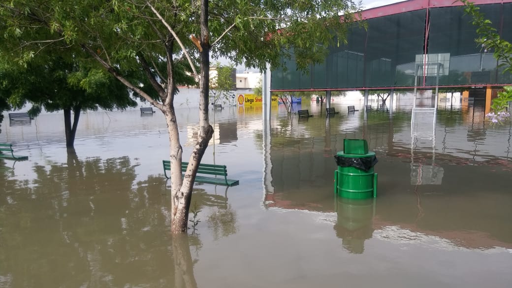 Colonia Provitec de Torreón, totalmente inundada. (Brenda Valles)