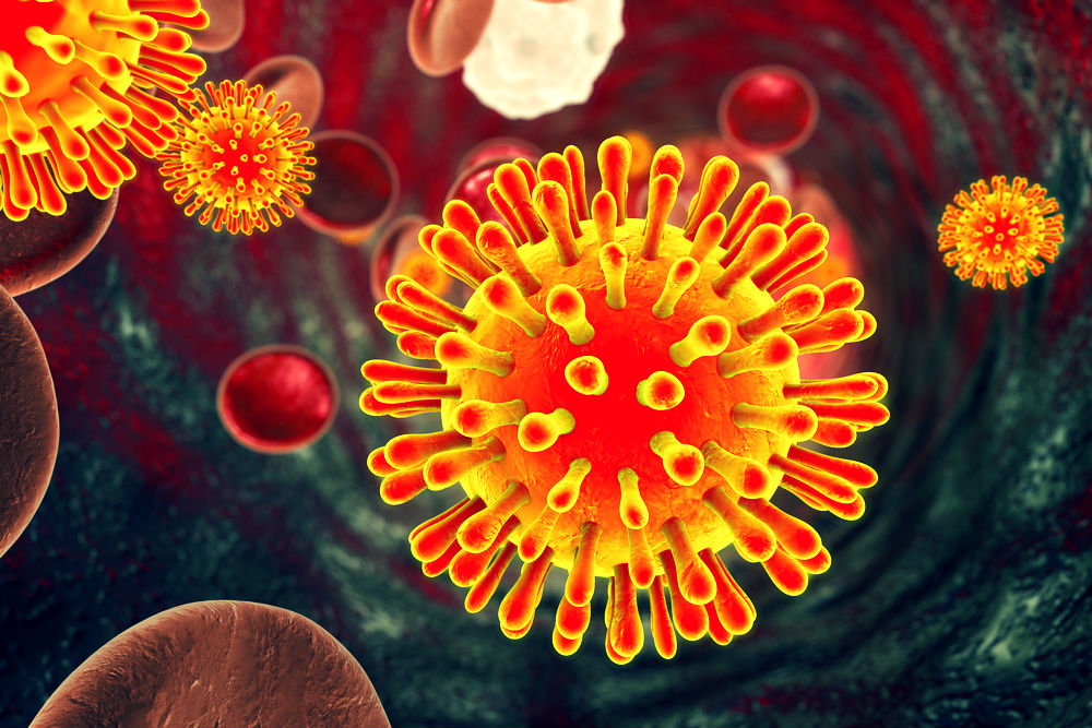 Dichos anticuerpos neutralizan al VIH-1. (Shutterstock)