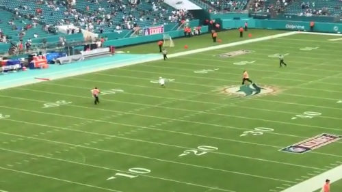 Niño aficionado de los Dolphins evade la seguridad e invade el campo (Especial)