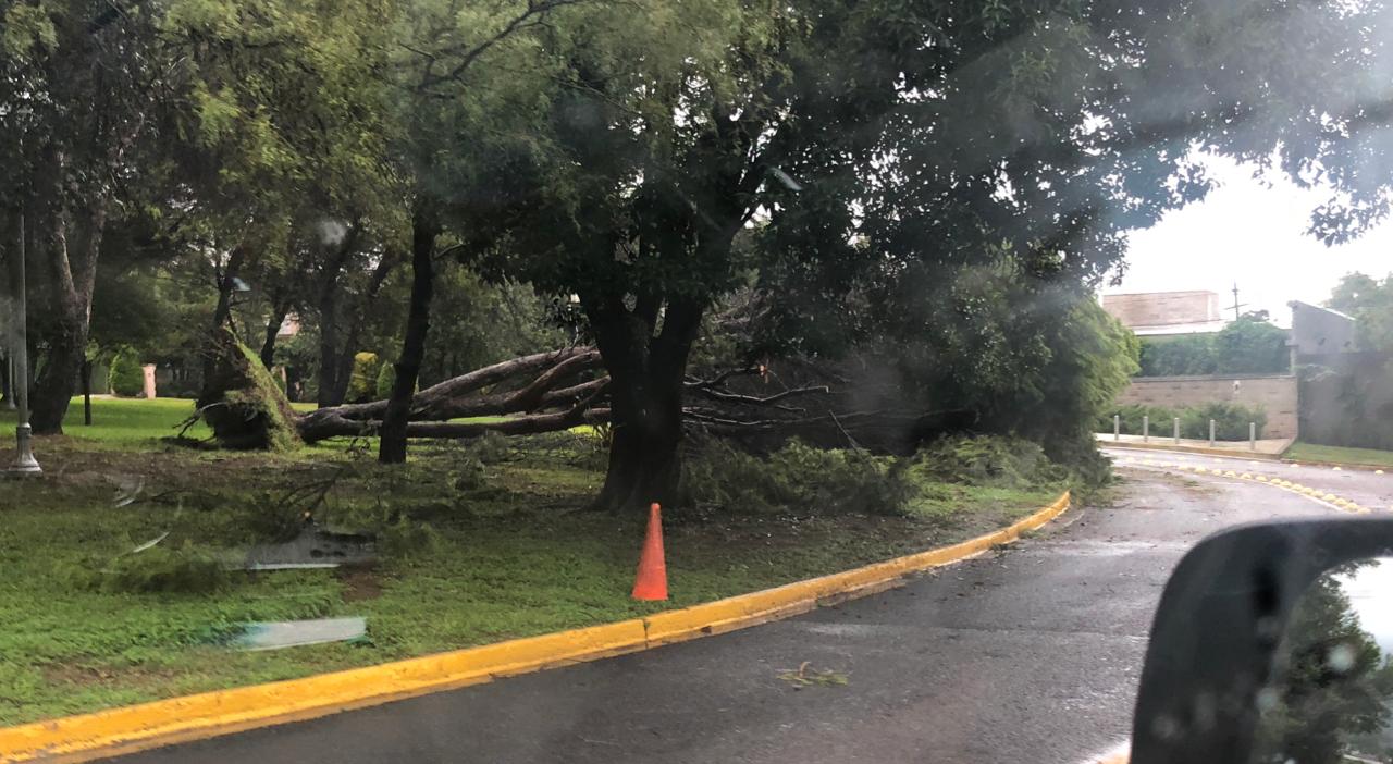 Personal de seguridad de la zona realizó el reporte a Protección Civil. (Foto: Especial)