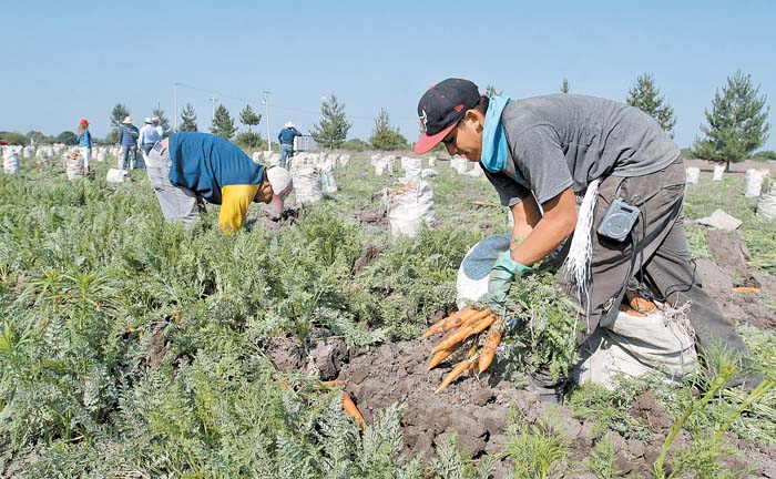 Se liberarán 300 mdd para financiamiento rural.
