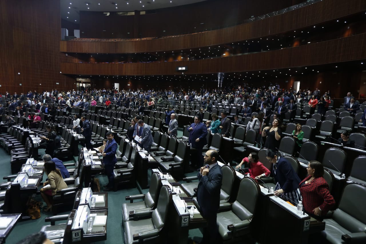 Sesión de la Cámara de Diputados (Araceli López)