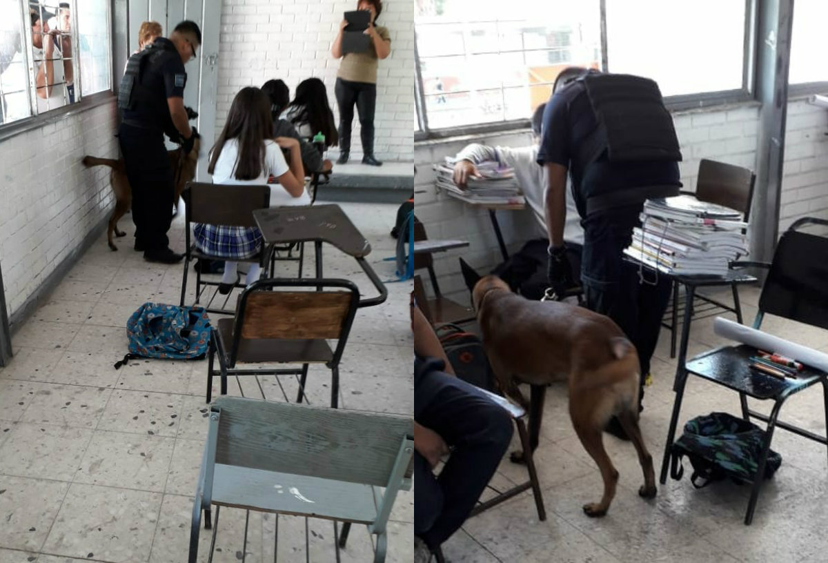 Reportaron saldo blanco después de revisar 9 grupos. (Cortesía DSPM)