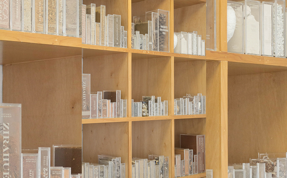 Artes visuales 796 (La biblioteca de Marianna Dellekamp. Foto Museo de Arte de Zapopan)