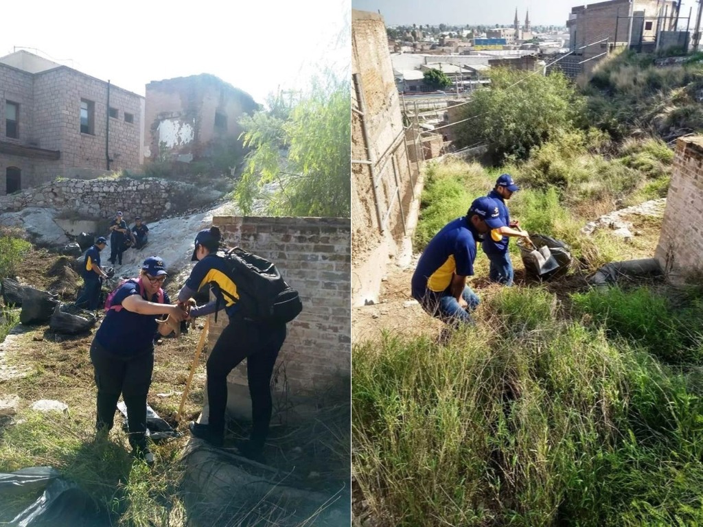 Uno de los perritos ya fueron adoptados mientras que los otros están a la espera bajo cuidado del Proyecto CEL. (Especial)
