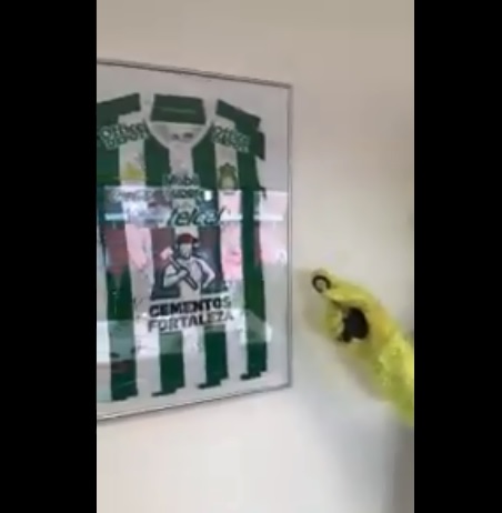 Bayer Leverkusen cuelga playera del León en el Bay Arena (Especial)