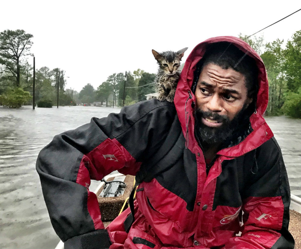 La foto de un  hombre y su gatito rescatados que se ha vuelto viral. Twitter @_andrewcarter