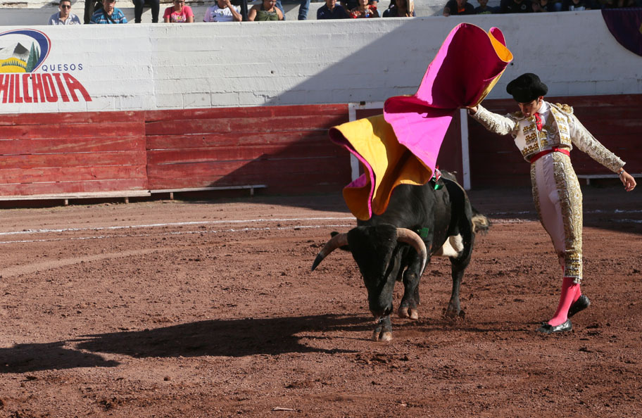Entre cada toro el público pedía "Si a los toros en Coahuila ", a manera de protesta. (Martín Piña)