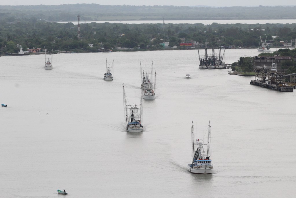 Zarpa flota camaronera de puerto de Tampico.