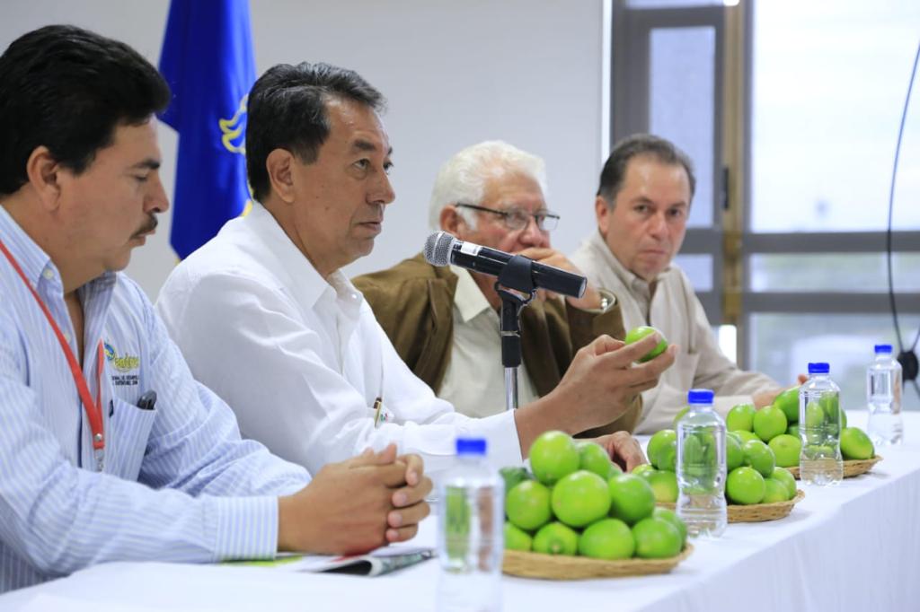 Productores jaliscienses realizan los primeros envíos de limón deshidratado en polvo a Norteamérica. (Elsa Martha)