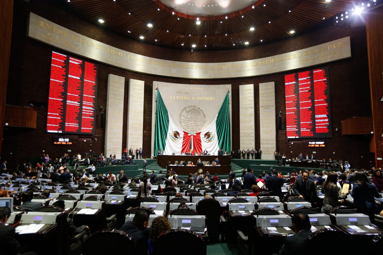 Cámara de Diputados (Araceli López)