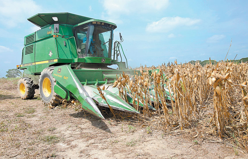 El campo mexicano requiere mayores apoyos, señalan los agricultores organizados. (Juan Carlos Bautista)