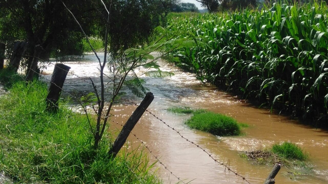 Tierras agrícolas de Tototlán afectadas por el desborde del río Zula (Cortesía)