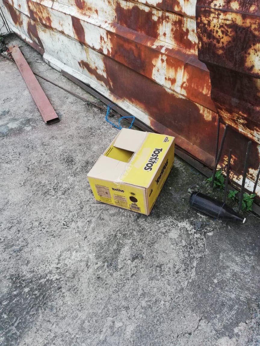 El bebé fue hallado en una caja de cartón.