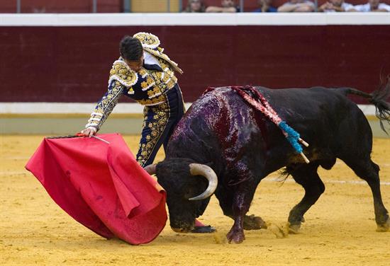 Pablo Iglesias admitió que los toros no se pueden prohibir por decreto y planteó someterlo a consulta. (Foto: EFE)