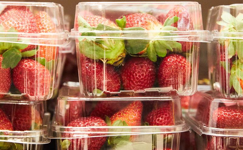Las autoridades australianas investigan varios casos de agujas insertadas en unas fresas. (Foto: EFE)