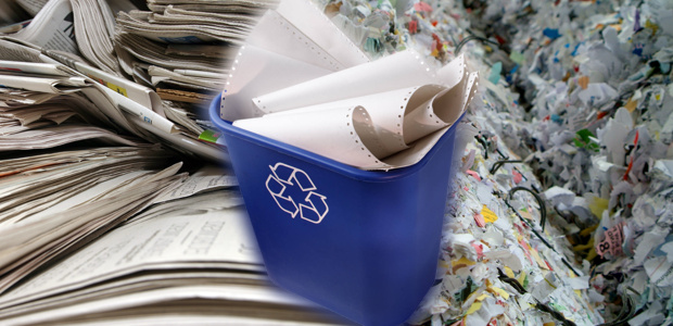 Reciclaje de papel (Especial)