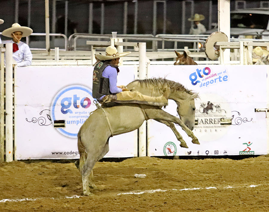Campeonato Nacional Mexicano de Charrería 2018 (Especial)