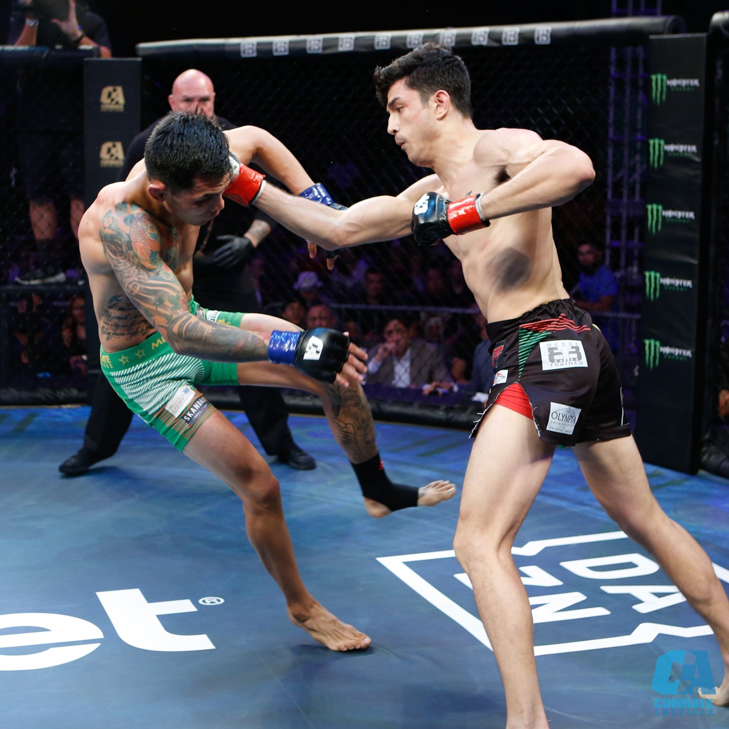 Pelea entre Alejandro Flores y Pablo Sabori en el Combate Americas (Scott Hirano/Combate Americas)