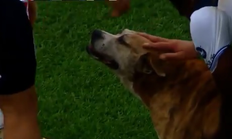 El can protagonizó el partido entre Unión contra Gimnasia y Esgrima La Plata (Especial)