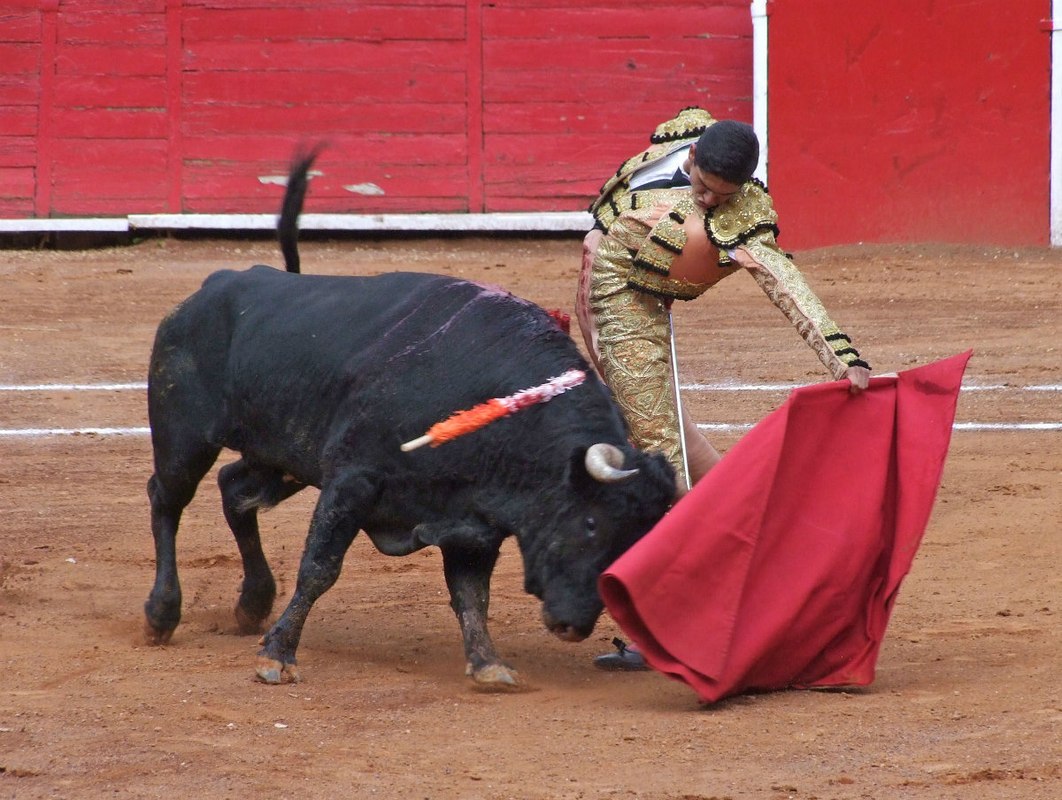 Héctor Gutiérrez en la 2ª novillada de triunfadores “Soñadores de Gloria" (Jorge Matchain )