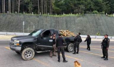 La madera era transportada en una camioneta (Cortesía Profepa)
