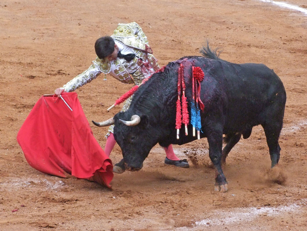 Sebastián Ibelles en la 2ª novillada de triunfadores “Soñadores de Gloria” (Jorge Matchain)