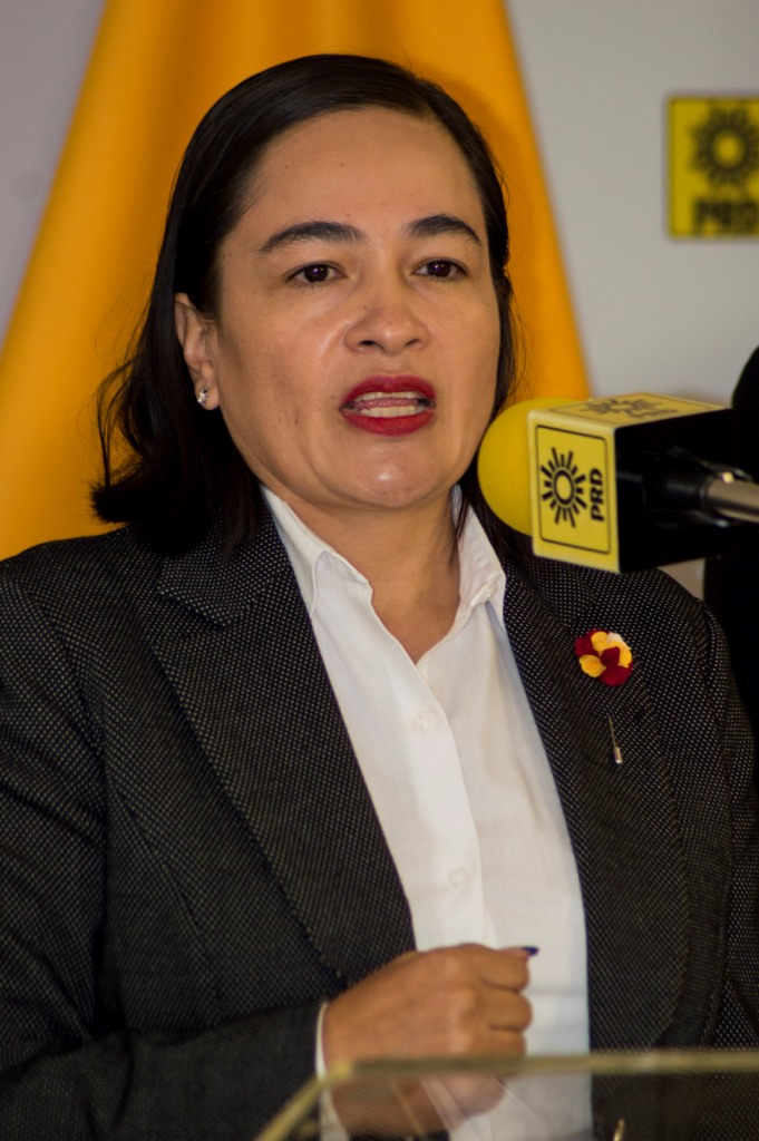 Verónica Juárez, vicecoordinadora del PRD en la Cámara de Diputados (Cuartoscuro)