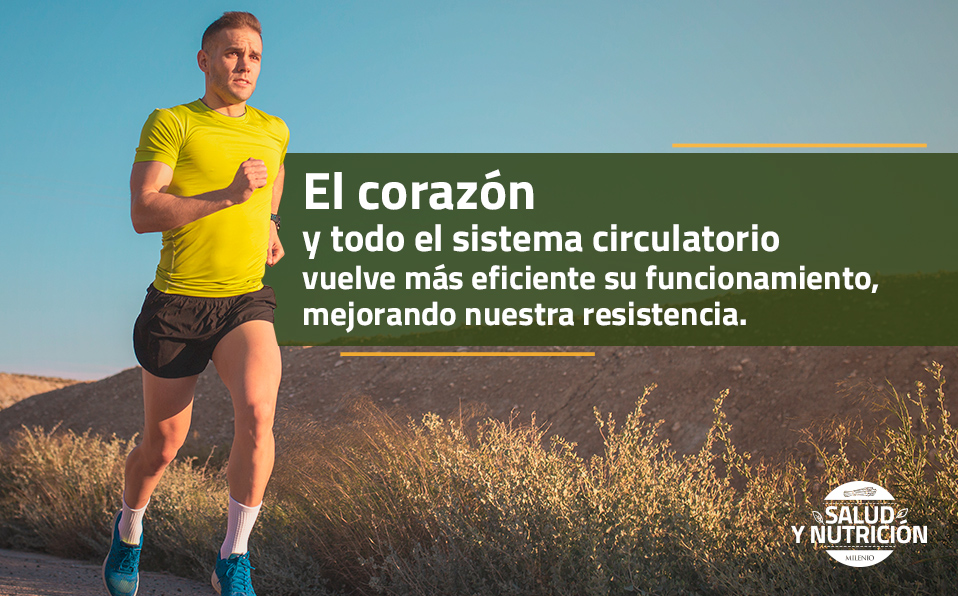 Los alimentos con harinas integrales o  granos enteros como el pan proporcionan energía de larga duración, ideal para los corredores