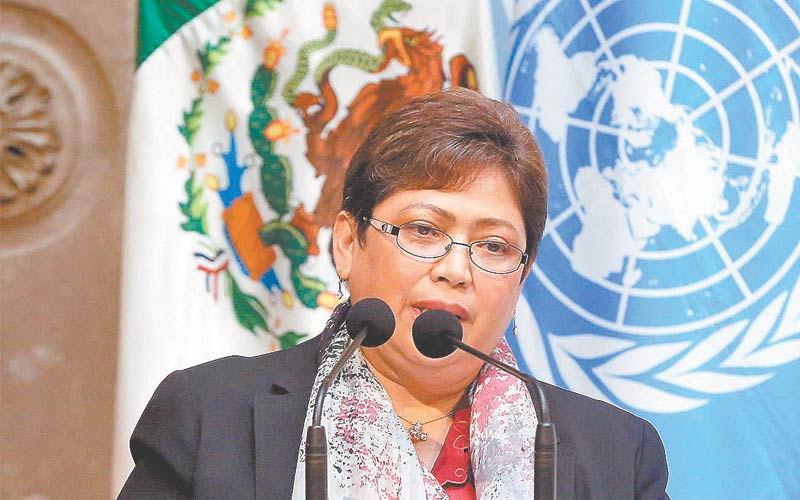 Cecilia Reyes, titular del IEmujeres. (Foto: Raúl Palacios)