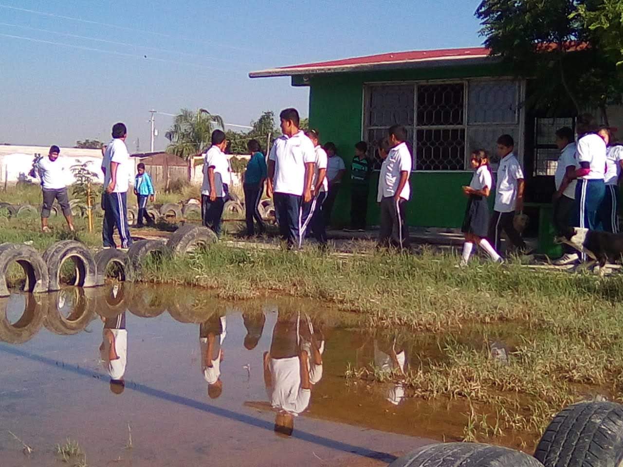 Ni siquiera pueden salir a receso debido a la persistente molestia de mosquitos. (Especial)