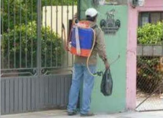 Acciones de fumigación.