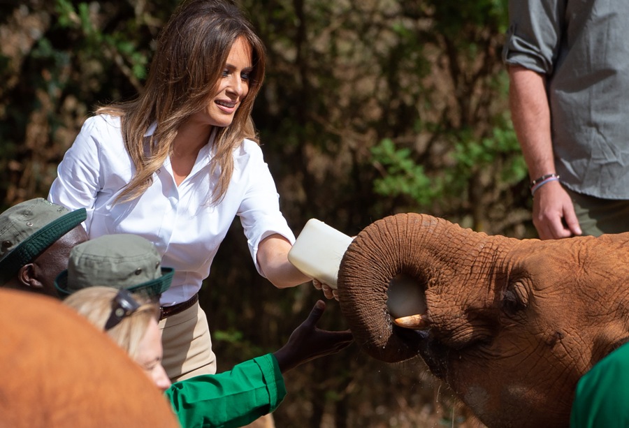 Melania Trump alimentó a elefantes en Kenia. (AFP)