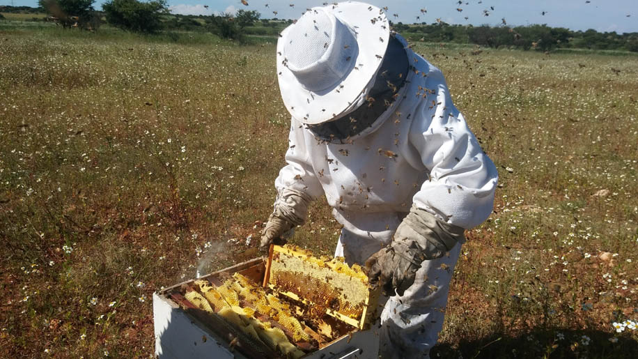 Una de los pocos beneficios de las lluvias fue apoyar la producción de miel. (Isis Rábago)