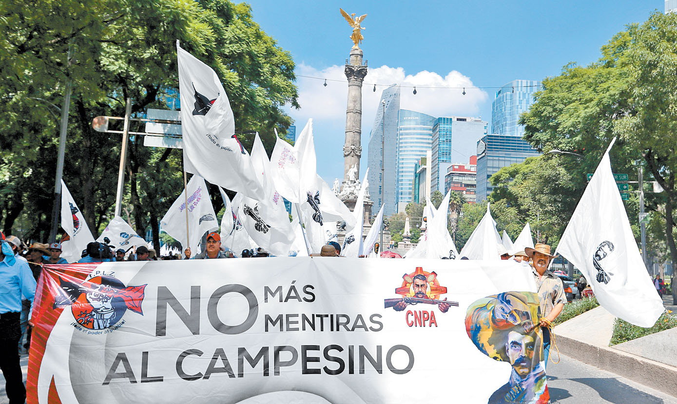 La cobertura del programa se enfocó “en aquellos problemas que requirieron de atención inmediata”. (Nelly Salas)