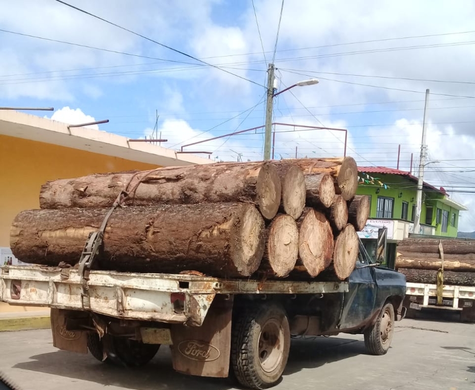 Elementos del ejército mexicano aseguraron siete camionetas cargadas con troncos de árboles que fueron talados en el bosque municipal de Ahuazotepec. 