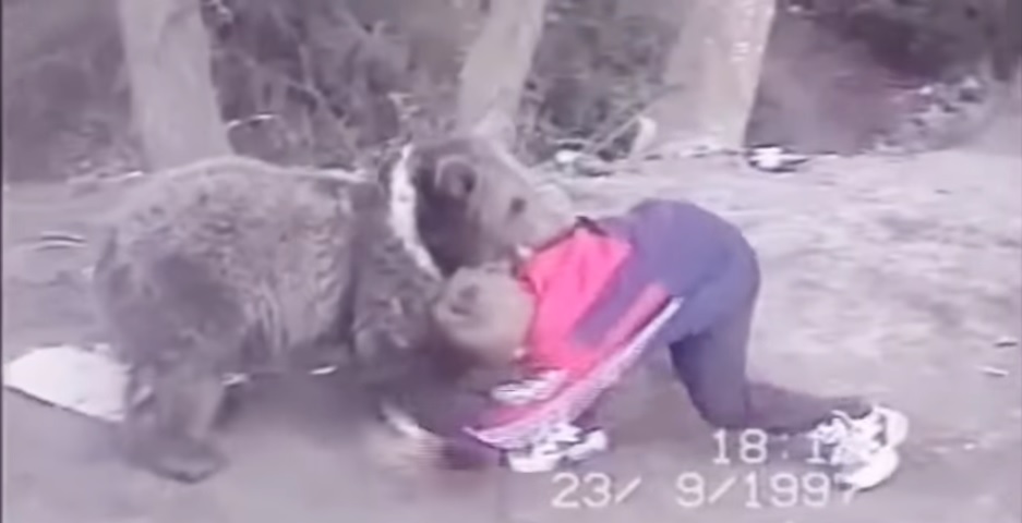 En su infancia, Khabib Nurmagomedov entrenaba con cachorros de oso (Especial)