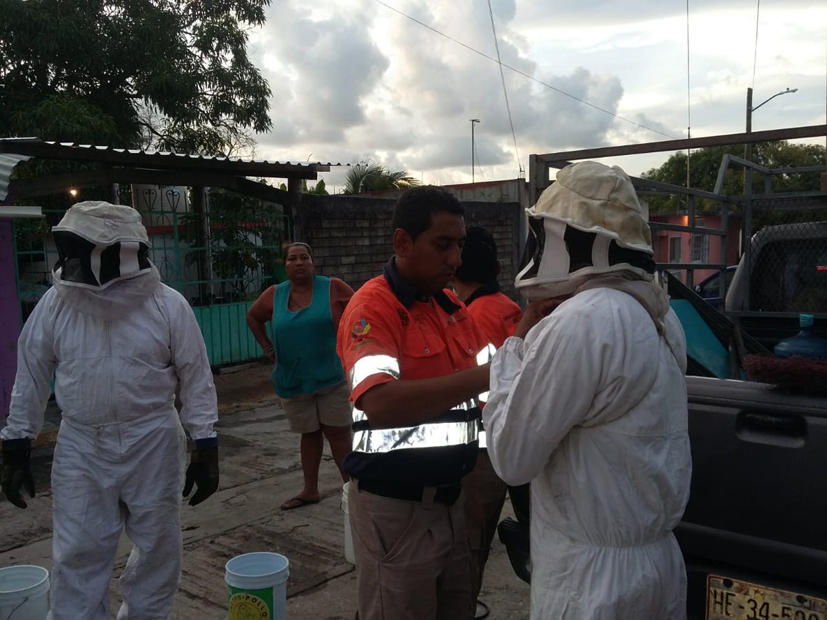 La dependencia informó que 12 personas fueron atendidas por piquetes de abeja. (SPCGro)