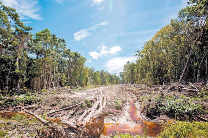 Greenpeace, escéptico ante las medidas.