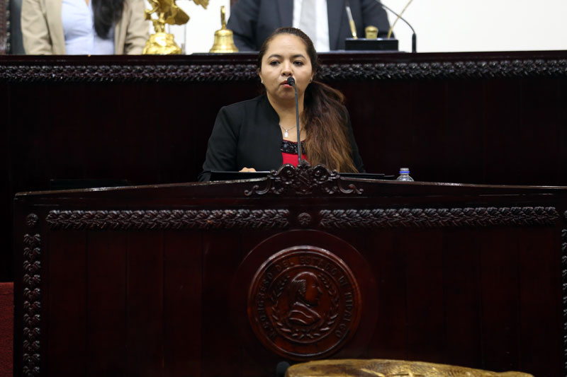 La diputada local de Morena, Lucero Ambrocio Cruz.  (Jorge Sánchez)