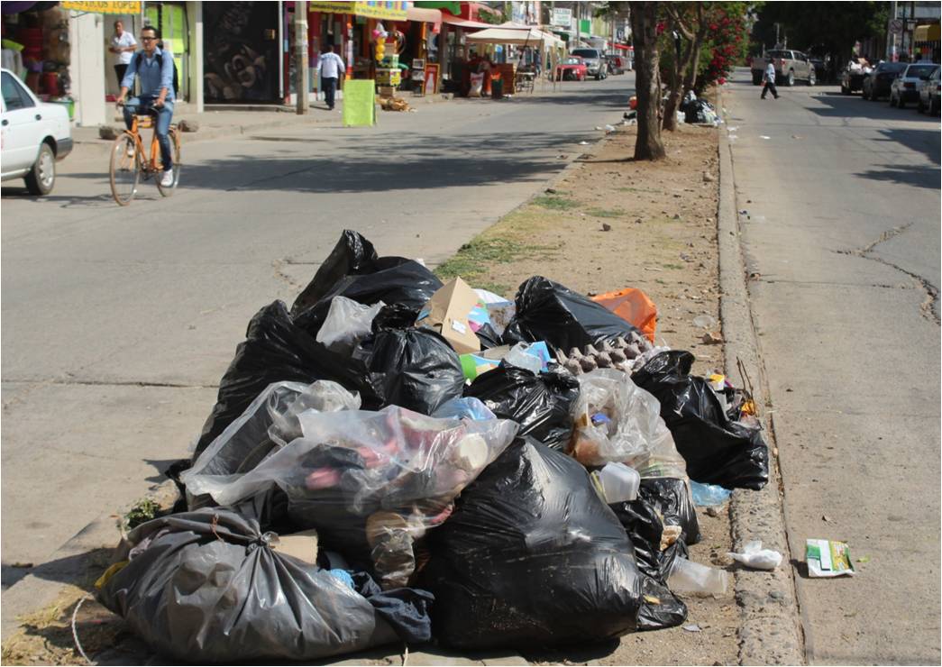 200 toneladas de basura de casas leonesas. (Dany Béjar)